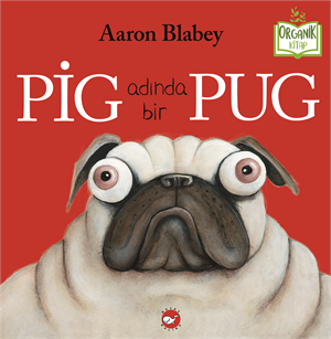 PİG ADINDA BİR PUG