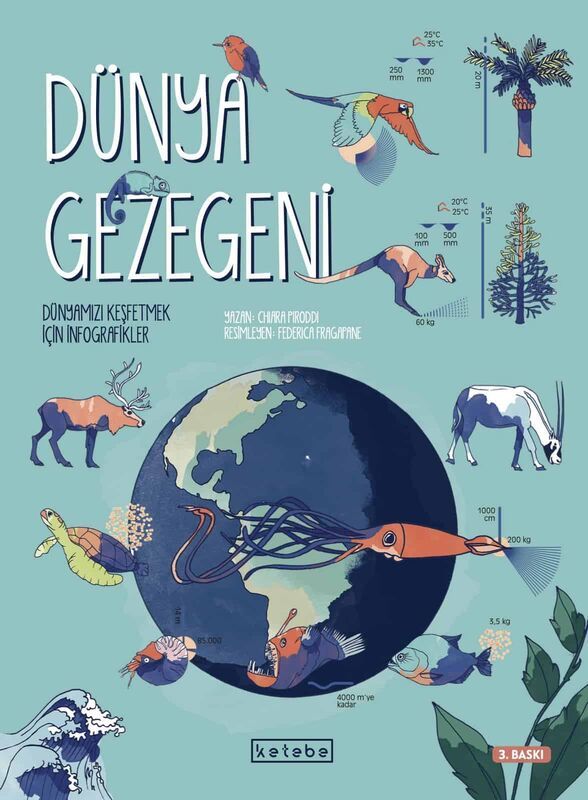 DÜNYA GEZEGENİ