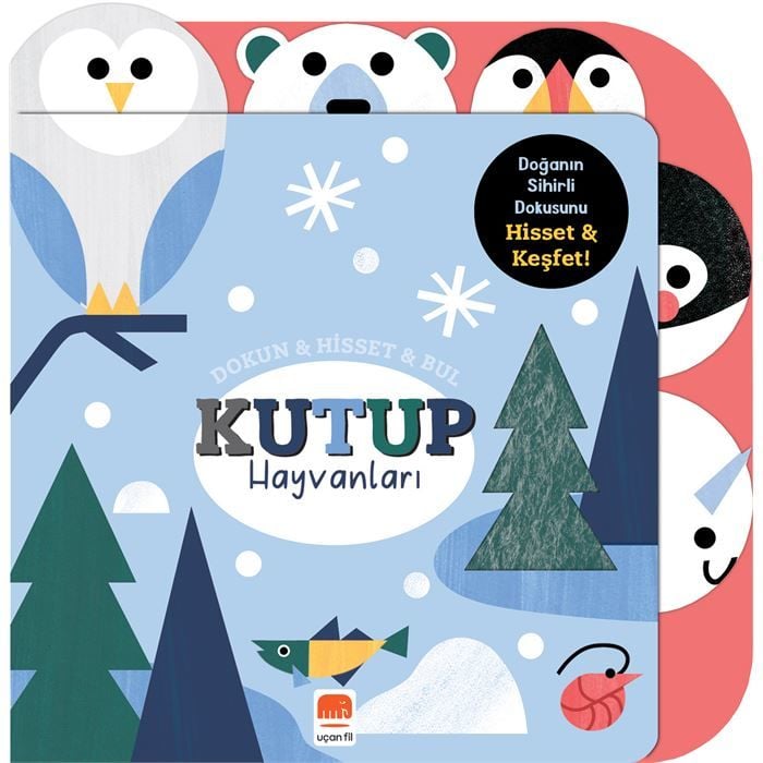 DOKUN-HİSSET-BUL KUTUP HAYVANLARI