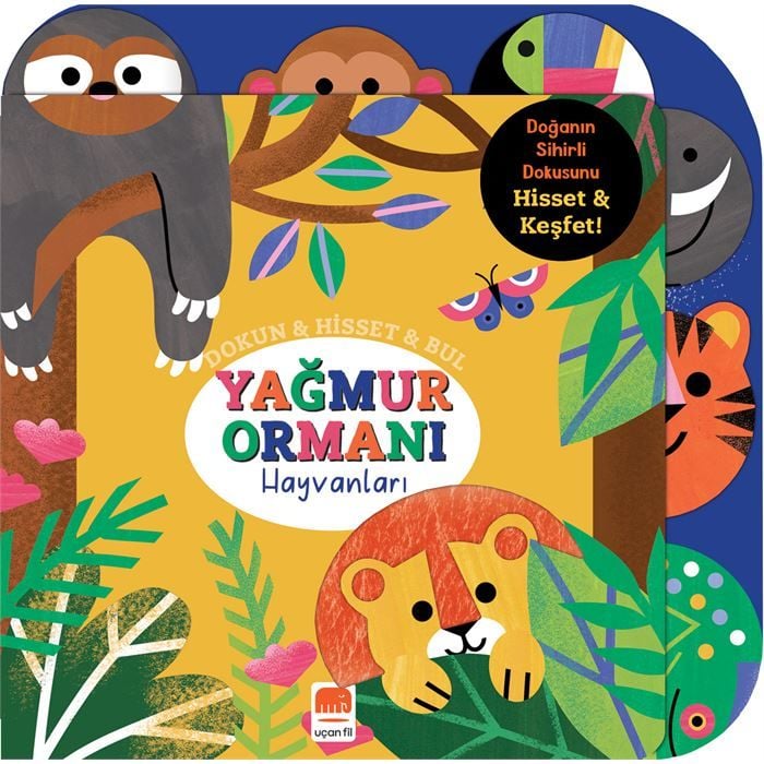 DOKUN-HİSSET-BUL YAĞMUR ORMANI HAYVANLARI