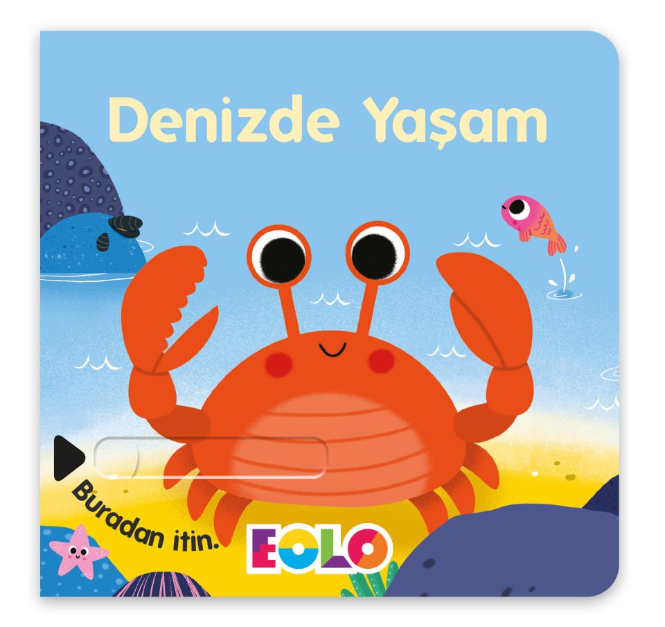 DENİZDE YAŞAM